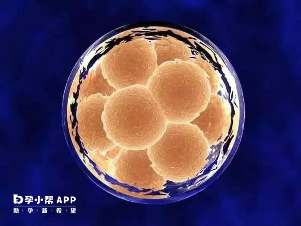 试管促排和卵泡监测需要一定费用