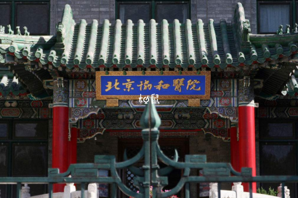 北京协和医院在国内试管医院排名前十