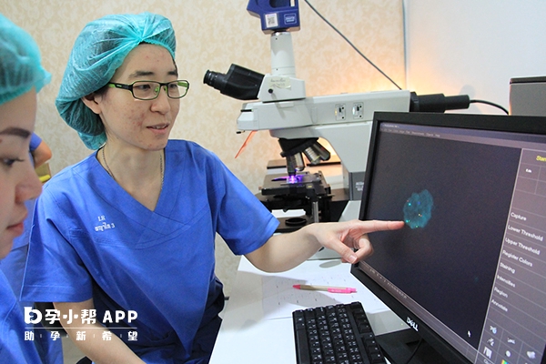 北医三院试管婴儿技术较好