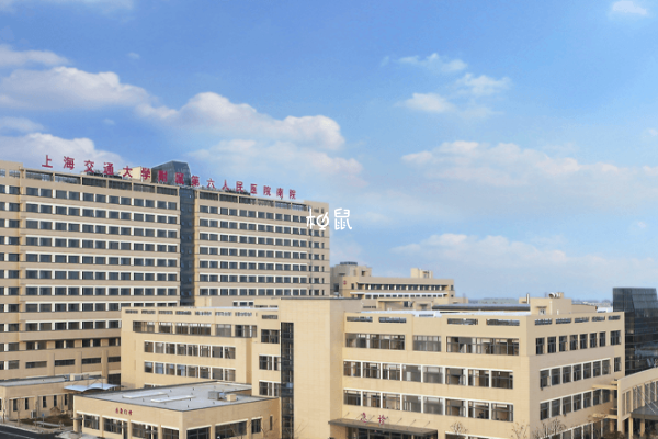 上海六院胚胎培养成功率比较高