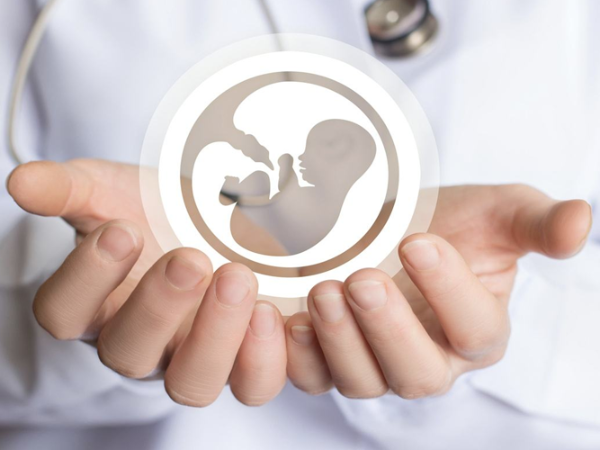 北京可做供卵试管的公立医院