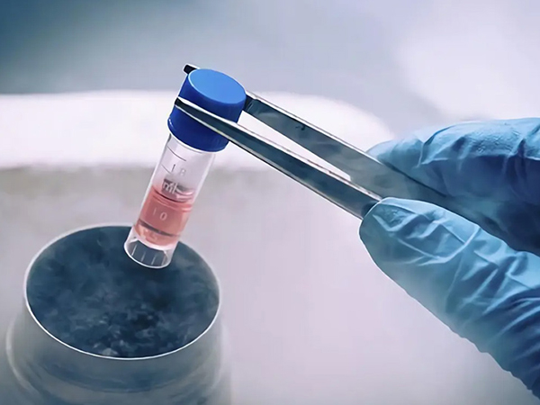 缴纳北京医保可报销试管费用