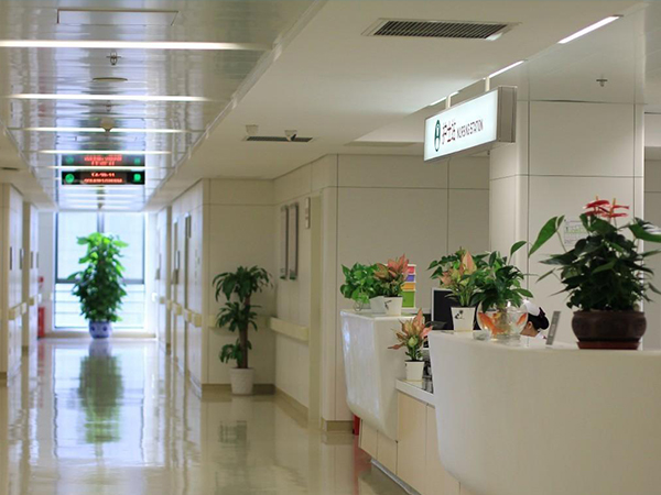 协和医院国际医疗部