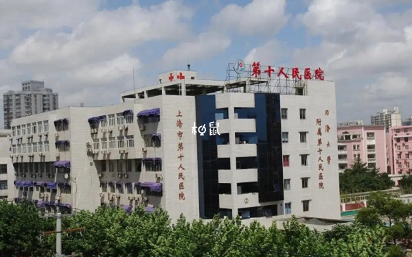 上海十院试管成功率
