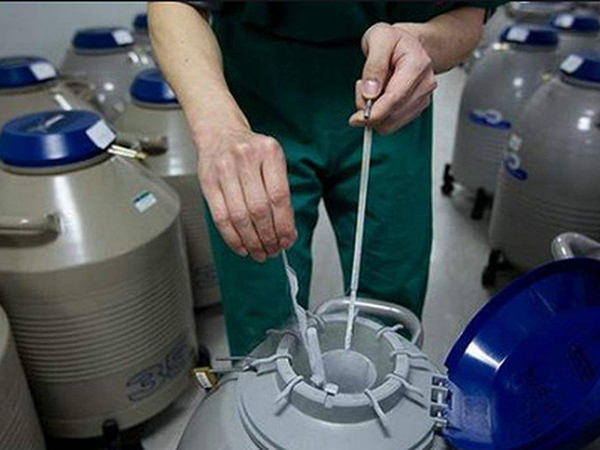 冷冻胚胎费用由冷冻个数决定