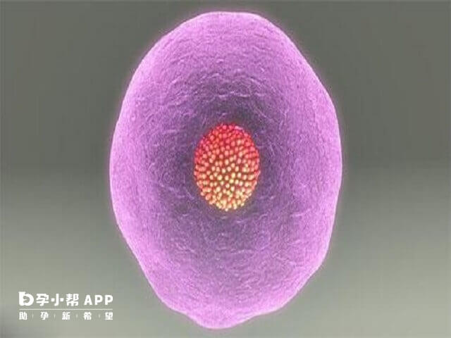 北京冷冻卵子技术好的医院