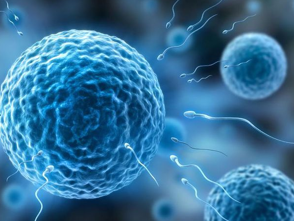 做供卵试管的人并不多