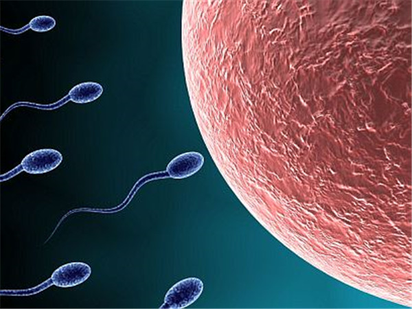 北京供精试管婴儿要等2-3个月左右