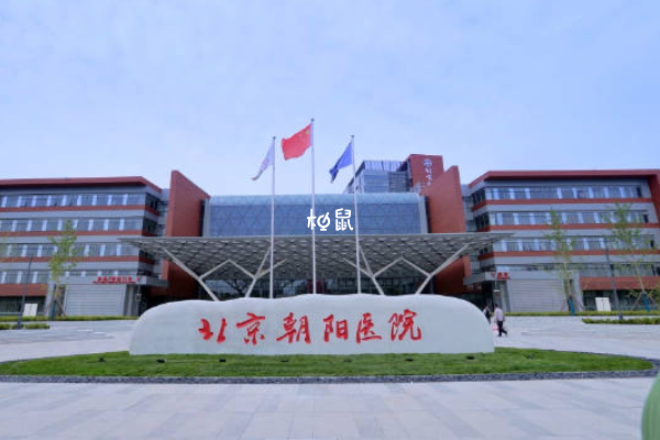 北京朝阳医院能做三代试管