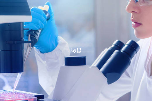 42岁做试管成功率不高