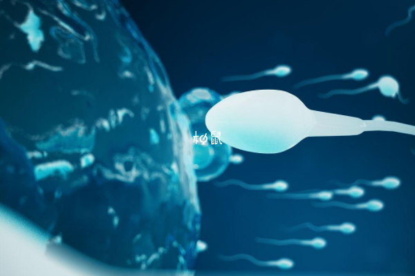 男性精子不好会导致二代试管养囊失败