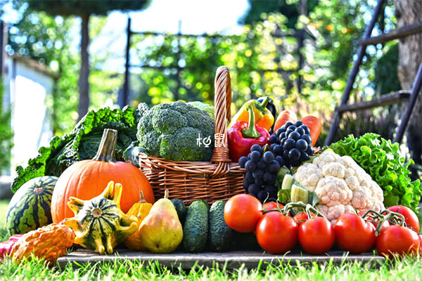 爱吃素的女性生女儿几率大