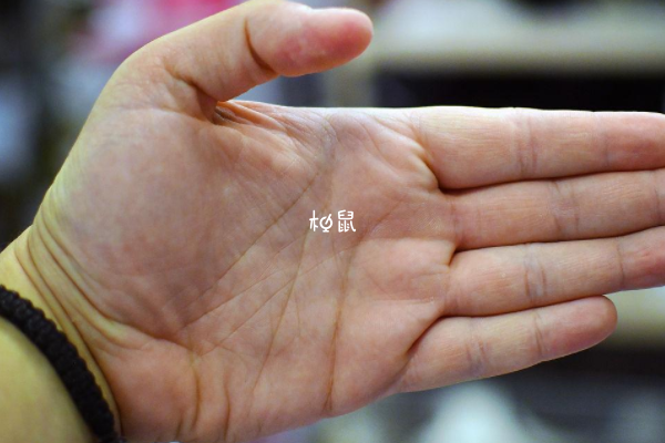 手腕测男女的方法