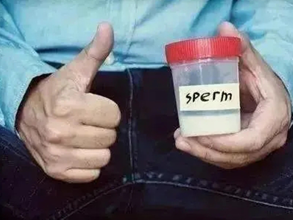 手淫法是最常见的取精方式