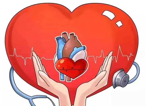 不当服用大豆异黄酮易患心血管疾病