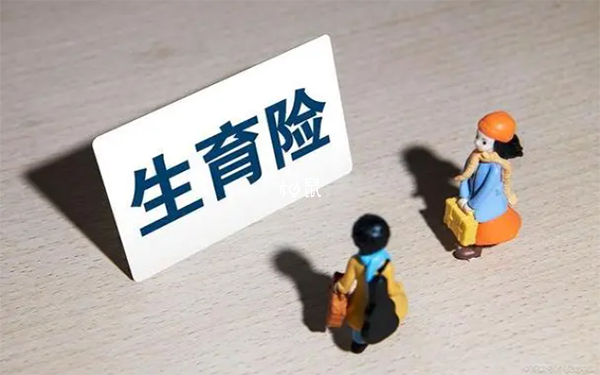 试管报销