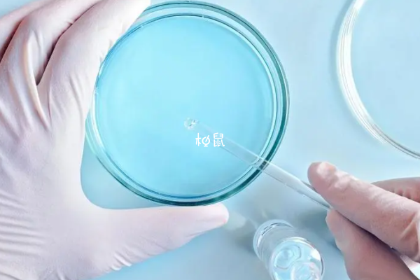 北医三院一年做试管的人数非常多