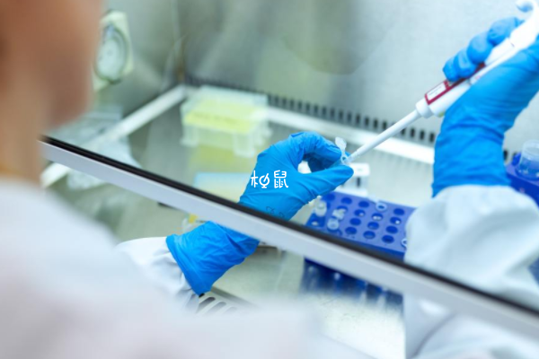 公立供卵要求女性子宫环境良好