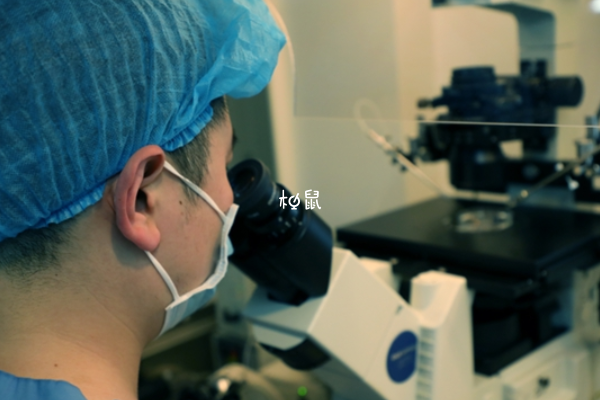 A型血友病做试管可以避免遗传