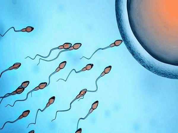 梗阻性无精子做人工授精还是试管都行