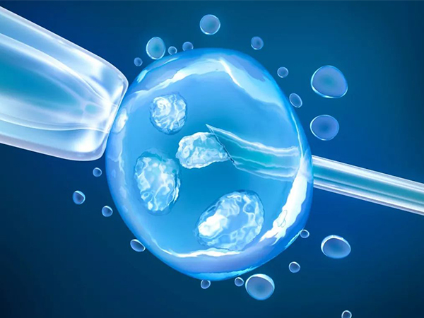 四地试管技术仍在研究中