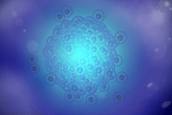 辅助孵化的好处