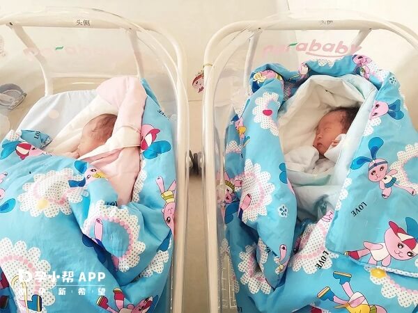 做试管婴儿龙凤胎有条件
