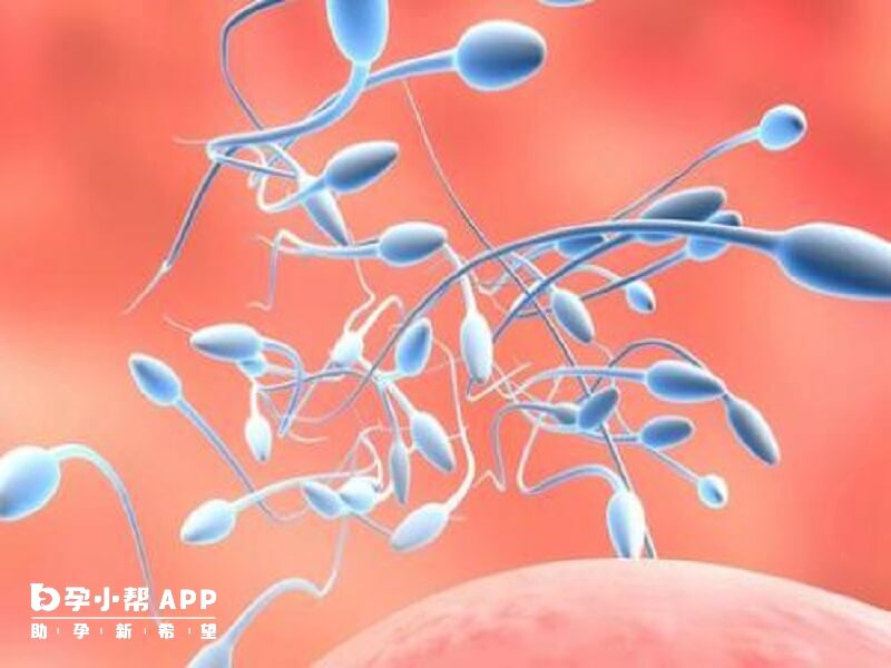 u=2281715644,14689734&fm=26&gp=0.jpg u=2281715644,14689734&fm=26&gp=0.jpg