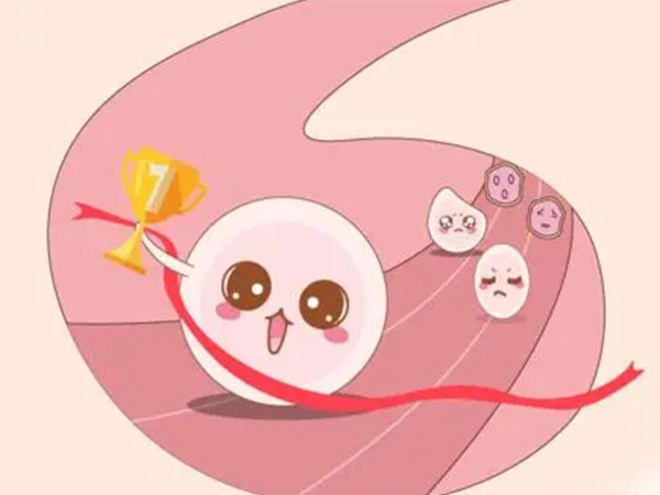 女性服用来曲唑有促排作用