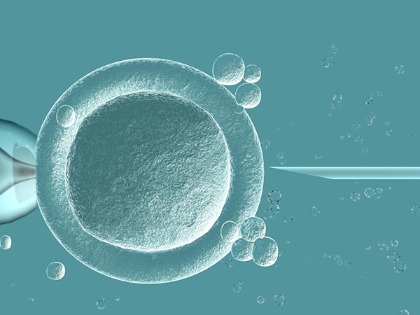 上海集爱医院取卵3天后听胚胎配对报告
