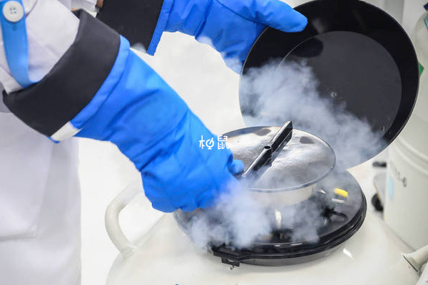 北京人工授精费用可报销