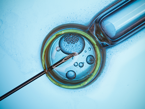 二代试管能让精卵更好结合