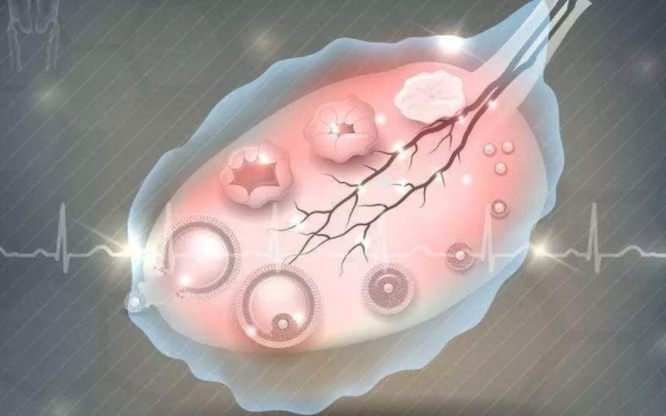 做供卵试管的条件