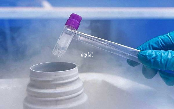 公立医院借卵做试管的流程