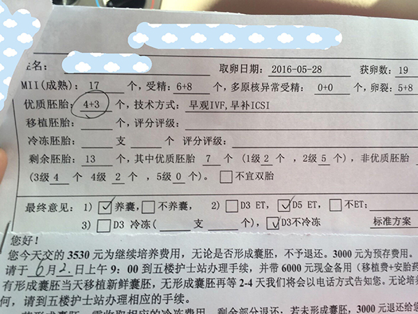 胚胎配对报告