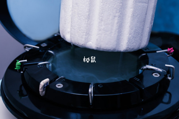 冻卵做试管也能成功