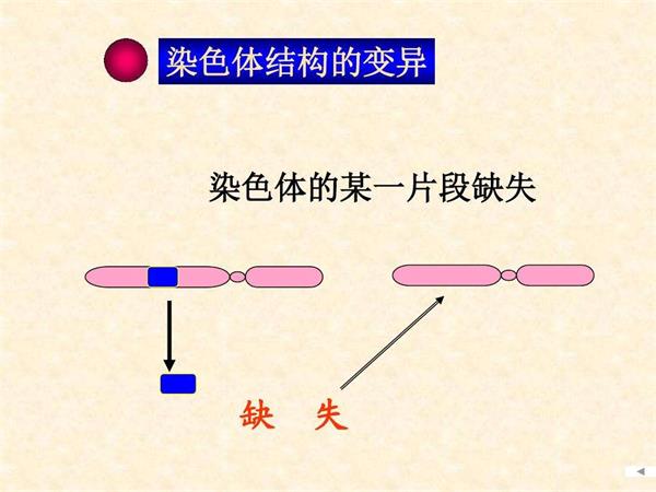 染色体变异的女性可以做供卵试管婴儿