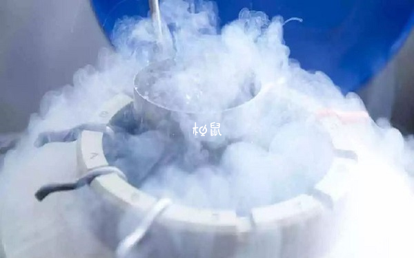 上海公立医院受精卵一年的费用