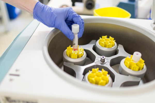 血友病携带者三代试管成功率有50%-60%