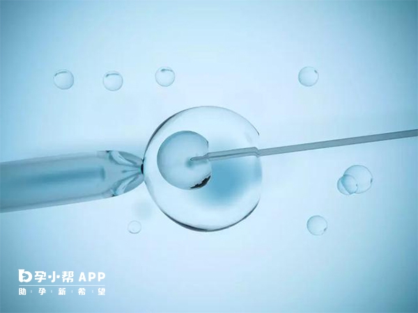 不同方案试管婴儿成功率不同