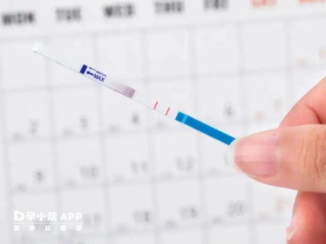 推算排卵的方法