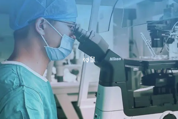 脏器功能异常不适合做试管