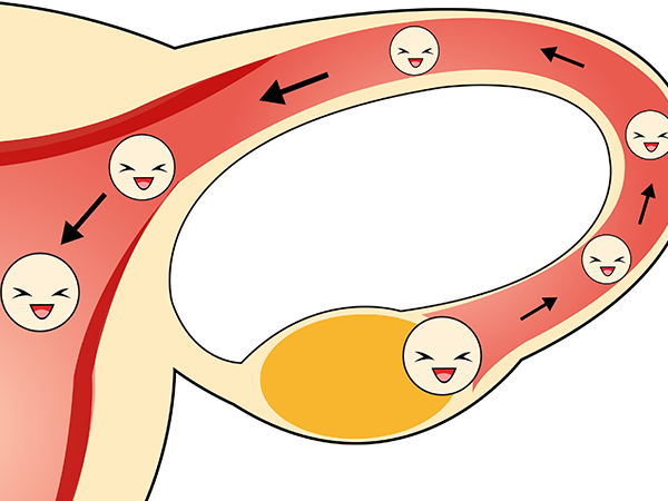 来曲唑有促进排卵的作用