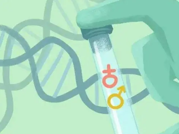 私人医院不可以做三代试管包生男孩
