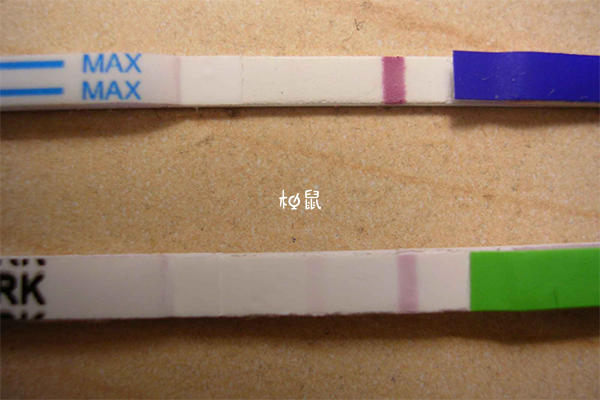 早孕试纸并不能分辨男女性别