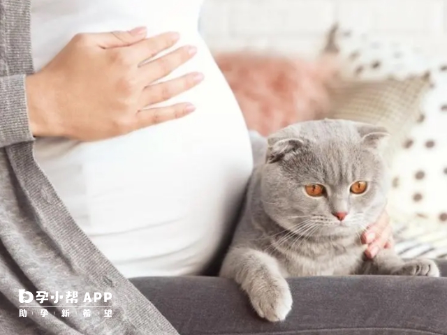怀女宝宝的孕期症状