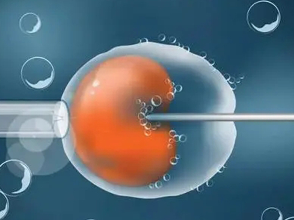 促排药克罗米芬可用于试管婴儿中