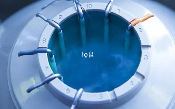 上海试管医院