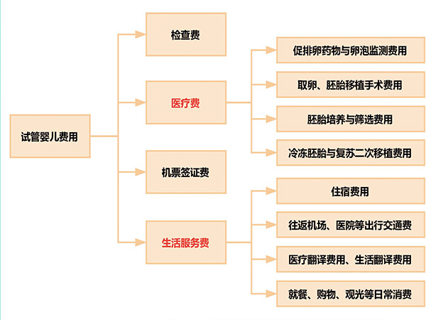 海外试管婴儿费用组成