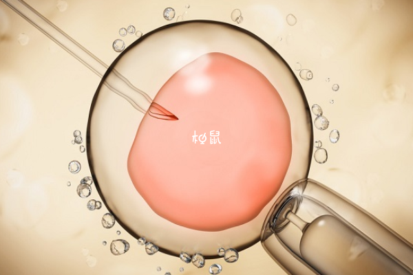 轻微感冒是人工授精顺利着床的表现